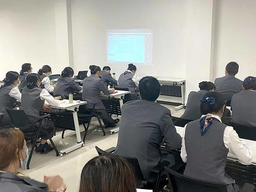 政務服務業(yè)務咨詢電話 參加社會保險事項培訓與信息咨詢服務詳解