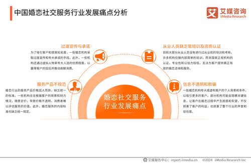 2024-2025年中國婚戀社交服務市場研究報告 趨勢、挑戰(zhàn)與機遇